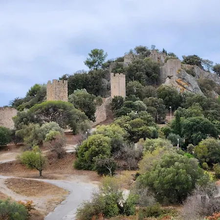 6 Personnes En Centre-ville Et Piscine * Hyères